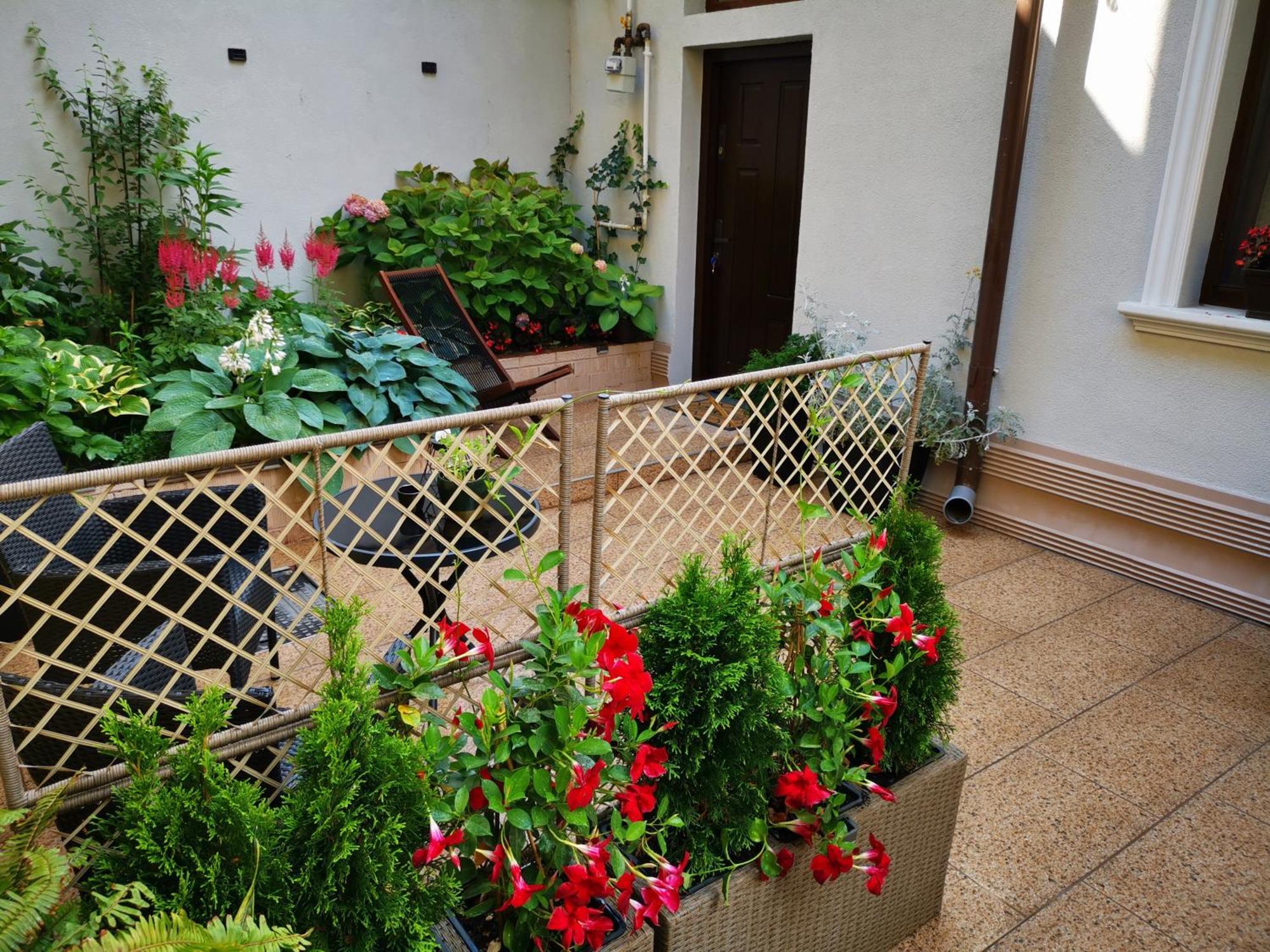 Cozy Green House Бухарест Екстер'єр фото